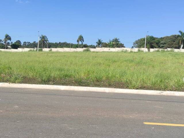 #703 - Área para Venda em Itupeva - SP