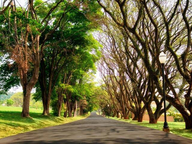 Área para Venda em Itupeva - 5