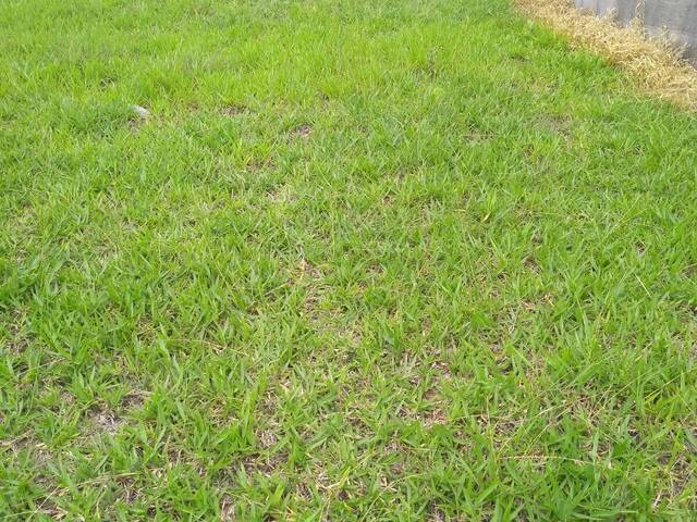 Área para Venda em Cabreúva - 2
